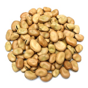 파바빈 콩 2 kg 식물성단백질