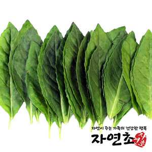 생 명월초잎 400g (삼붕초,삼붕냐와)